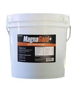 MagnaGard Plus Gastric Support Supplement for Horses with Omega 3s, 20 lbs Bucket - Equine gastric ulcers, Calming