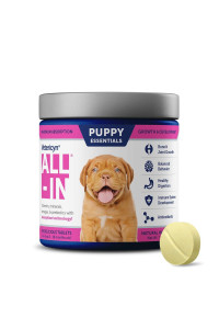 Vetericyn All-in Puppy Essentials. Puppy Supplement Containing a Blend of Vitamins, Minerals, Omegas, Antioxidants, and Prebiotics with Patented Absorption Technology to Support Development. 90-Count