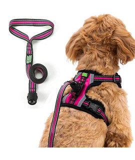 Easy Lock Dog Harness and Leash Set for Small Large Dogs Puppy Breed, Magnetic Clasp Reflective Vest with Training Leash One Hand Easily Connect