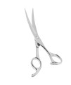 Dog grooming Scissors,Pet grooming Scissors,Thinning,Straight,curved Down Shears great for groomers and Home grooming
