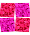 zetpo 80 pcs cat claw covers cat Nail caps with Adhesives and Applicators (M, Bright Pink, Rose)