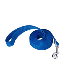 Siumouhoi Strong Durable Nylon Dog Training Leash, Traction Rope, 10 Feet Long, 1 Inch Wide, for Small and Medium Dog (10Feet, Blue)