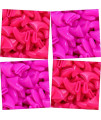 zetpo 80 pcs cat claw covers cat Nail caps with Adhesives and Applicators (S, Bright Pink, Rose)