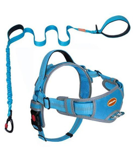 AdventureMore No Pull Choke Free Dog Halter Harness Leash Set - Dog Harness with Handle & 5 ft Double-Handle Shock Absorbing Bungee Dog Training Leash and Harness, Extra Large, Blue