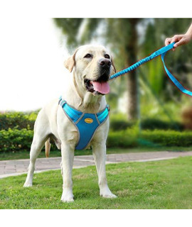 AdventureMore Dog Harness Leash Set, Step-in Escape Proof Reflective Dog Vest, No-Pull Adjustable Halter and Lead, with 5 ft Anti-Pull Dual-Handle Bungee Training Leash, Large, Blue