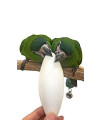 Birds LOVE 6" Bulk Cuttlebone for Cockatiels Parakeets Budgies Finches Canaries Lovebirds Small Conures Mynahs Toucans African Greys All Parrots, 4lbs