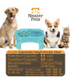 Neater Pet Brands - Neater Raised Slow Feeder Dog Bowl - Elevated and Adjustable Food Height - (Double Diner, Aquamarine)
