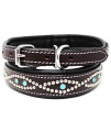 CHALLENGER Small 13''- 17'' Soft Genuine Leather Beaded Padded Dog Puppy Collar 60160