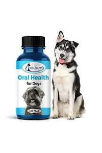 BestLife4Pets Oral Health Dental Care Supplement for Dogs - Plaque Tartar Remover Stomatitis & Gingivitis Control - Anti-Inflammatory Tooth and Gums Pain Relief - Easy to Use Natural Pills (450 ct)