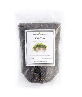 Kale Trio Sprouting Microgreen Mix contains Blue curled Scotch, Premier Red Russian Kale Seeds Heirloom Non-gMO Seeds Bulk 1 LB Resealable Bag Rainbow Heirloom Seed co