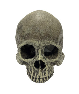 Komodo Reptile Terrarium Realistic Half Human Skull Ornament Decor Easy to clean Under Water Aquarium or Dry Habitat Decoration Accessory 4.3x 6.2x 4.1