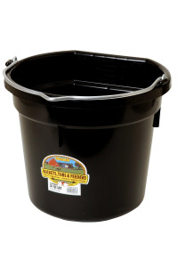 Plastic Animal Feed Bucket (Black) - Little Giant - Flat Back Plastic Feed Bucket with Metal Handle (20 Quarts / 5 Gallons) (Item No. P20FBBLACK6)
