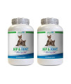 Vet Recommended Joint Support for Cats - CAT Hip and Joint Complex - Helps Stiff Joints - Triple Strength -glucosamine for Cats - 2 Bottles (240 Tabs)