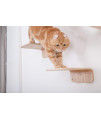 MYZOO Lack: Wall Mounted Cat Shelf, Wooden Cat Furniture, Floating Cat Perch, Cat Tree (M, Oak)