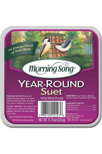 Morning Song Year-Round Suet (Pack of 6)