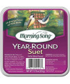 Morning Song Year-Round Suet (Pack of 6)