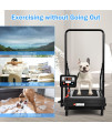 PETSITE Dog Treadmill, Pet Dog Running Machine for Small & Medium-Sized Dogs, Pet Fitness Treadmill with 1.4'' LCD Display Screen, 200 LBS Capacity