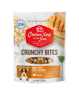 Chicken Soup 418476 12 oz Crunchy Bites Chicken Biscuit Dog Treats Food
