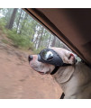 Namsan Dog Goggles Medium-Large Dog UV Sunglasses Windproof Snowproof Soft Frame Glasses for Long Snout Dogs Eyes Protection, Black