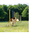 Petprime Dog Agility Hurdle Pole Set with a Carrying Case 12PCS, Dog Agility kit Training Course Equipment Professional, Jump Obstacle Course for Dogs Outdoor, Puppy Agility Course Backyard Set