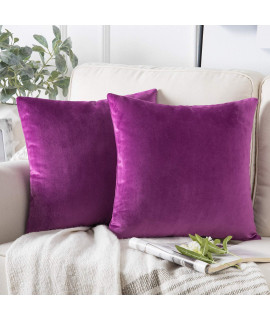 Phantoscope Pack Of 2 Velvet Decorative Throw Pillow Covers Soft Solid Square Cushion Case For Couch Purple 24 X 24 Inches 60 X 60 Cm
