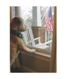 CLAWGUARD Window Sill Protector - Strong Transparent Protection from Dog and Cat Scratching, Chewing, Slobbering and Clawing on Window Sills. Keep Paws Safe and Home Clean. (Clear 35.5 in. x 3.25 in.)