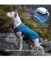 Kurgo Dog Jacket, Reversible Winter Jacket for Dogs, Pet Coat for Hiking, Water Resistant, Reflective, Lightweight, Wear with Harness, Athletic, Loft Jacket (Liberty Floral, XL) (K81081)