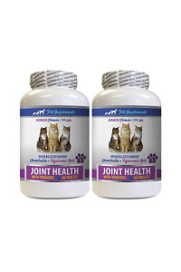 cat Joint Pain Relief Treats - cat Bone Supplement - CAT Joint Health with Turmeric MSM - msm Support for Cats - 2 Bottles (120 Treats)