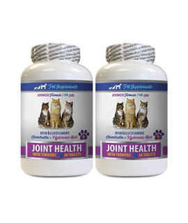 cat Joint Pain Relief Treats - cat Bone Supplement - CAT Joint Health with Turmeric MSM - msm Support for Cats - 2 Bottles (120 Treats)