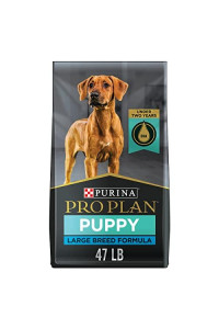 Purina Pro Plan Large Breed Dry Puppy Food, Chicken and Rice Formula - 47 lb. Bag (Packaging May Vary)