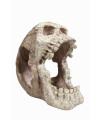Penn-Plax Reptology Skull Hide-Away Combo | Includes Hide-Away & Lizard Lounger Bridge