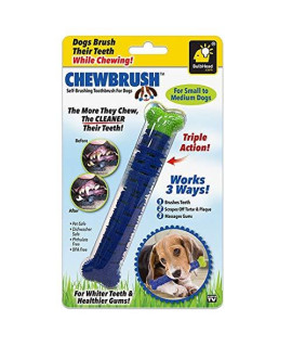 BulbHead chewbrush Toothbrush Dog Toothbrush and Dog Toy - No Dog Toothpaste Required - great Dog Teeth cleaning Toys (Short)