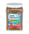 Dentalife Purina Made in USA Facilities cat Dental Treats, Savory Salmon Flavor - 19 oz canister