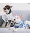 Touchdog 'I love Poochi' Classical Fashion Plaid Dog Dress, X-Small, Blue