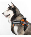 Dogline Unimax Dog Harness Vest with Service Dog in Training Rubber Patches Adjustable Straps Breathable Neoprene for Identification Training Dogs Girth 18 to 25 in Orange