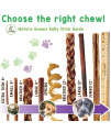 Nature Gnaws Small Bully Sticks for Dogs - Premium Natural Beef Dental Bones - Long Lasting Dog Chew Treats for Small Dogs & Puppies - Rawhide Free