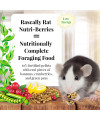 LAFEBER'S Rascally Rat Nutri-Berries, Made with Non-GMO and Human-Grade Ingredients, for Rats, 10 oz