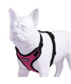 Voyager Step-in Lock Pet Harness - All Weather Mesh, Adjustable Step in Harness for Cats and Dogs by Best Pet Supplies - Fuchsia/Black Trim, XS