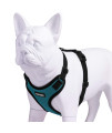 Voyager Step-in Lock Pet Harness - All Weather Mesh, Adjustable Step in Harness for Cats and Dogs by Best Pet Supplies - Turquoise/Black Trim, S