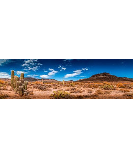 BannersNStands Reptile Habitat, Terrarium Background, Blue Sky with Mountains & Cactus - (Various Sizes) (21" H x 108" W)