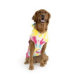 Canada Pooch | No Authority Dog Hoodie (22, Tie Dye), 22 (21-23" Back Length)