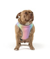 Canada Pooch Chill Seeker Dog Cooling Vest Water Evaporative and Adjustable Rainbow - Size 10 (9-11" Back Length)