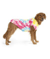 Canada Pooch | No Authority Dog Hoodie (12, Tie Dye), 12 (11-13" Back Length)