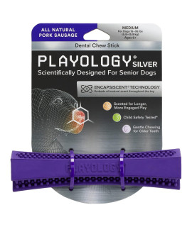 Playology Silver Dental chew Stick Dog Toy, Medium - Designed for Senior Dogs (15-35lbs) - Engaging All-Natural Pork Sausage Scented Toy - Non-Toxic Materials and Moderate chewing for Older Teeth