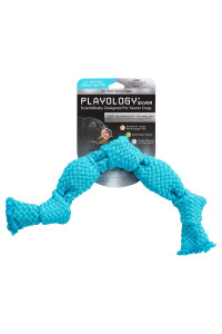 Playology Silver Dri-Tech Dental Rope Dog Toy, Large - for Senior Dogs (35lbs and Up) - Engaging All-Natural Peanut Butter Scented Toy - Non-Toxic Materials and Moderate chewing for Older Teeth