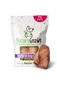 Nature Gnaws Pig Ears for Dogs - Premium Natural Pork Dental Chews - Thick Long Lasting Dog Chew Treats for Aggressive Chewers - Rawhide Free