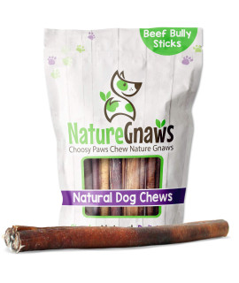 Nature gnaws Extra Large Bully Sticks for Dogs - Premium Natural Beef Dental Bones - Thick Long Lasting Dog chew Treats for Aggressive chewers - Rawhide Free 3 count (Pack of 1)