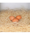 Rural365 Chicken Nest Box Liners 40 Pack - Chicken Coop Bedding, Poultry Supplies Chicken Bedding Nest Liners Chickens