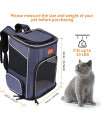 morpilot Cat Backpack Carrier, Foldable Cat Backpack Carrier for Small Cats and Dogs, Ventilated Design Pet Travel Carrier Backpack with Inner Safety Strap, Cat Carrying Bag for Travel Hiking Camping