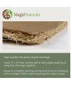 MagJo Pet Natural Aspen Shaving Nesting Liners (10 Pack) Great for Egg Laying. Easy Clean up. No More Messy shavings